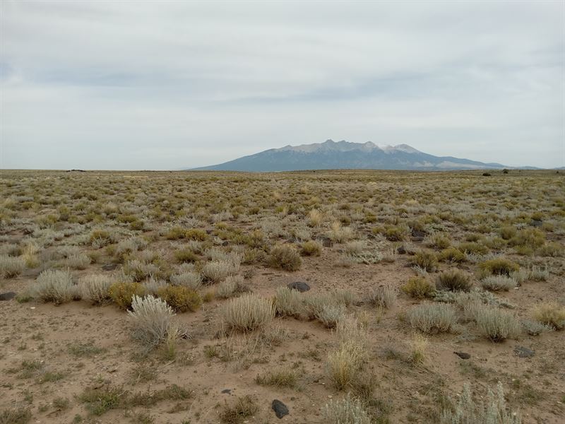4.95 Acres in Colorado for Hunting : Blanca : Costilla County : Colorado