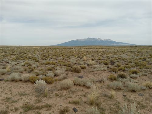 4.95 Acres in Colorado for Hunting : Blanca : Costilla County : Colorado