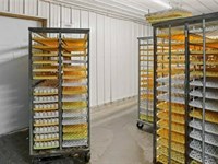 Arkansas Poultry Farm Breeder : Heavener : Le Flore County : Oklahoma