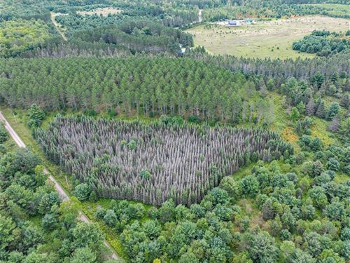 Rolling Northwoods Retreat : Phelps : Vilas County : Wisconsin