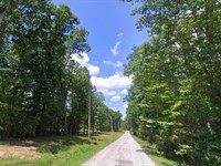 Wooded Lot in Lake Tansi with Power : Crossville : Cumberland County : Tennessee
