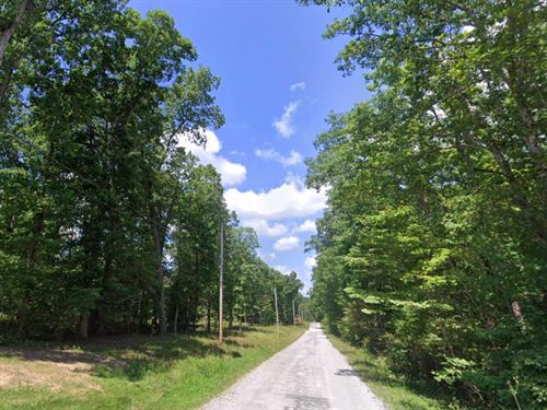 Wooded Lot in Lake Tansi with Power : Crossville : Cumberland County : Tennessee