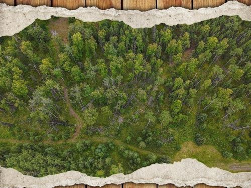 1.05 Acres 34141 Needles Avenue Sol : Soldotna : Kenai Peninsula Borough : Alaska