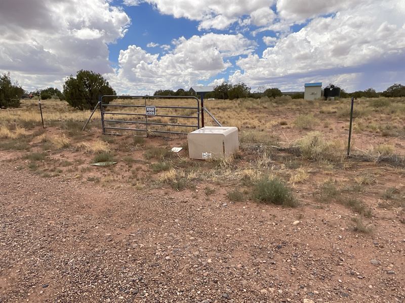 Concho Arizona Land for Sale : Concho : Apache County : Arizona