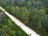 Suwannee River Park Estates Lot Liv : Live Oak : Suwannee County : Florida