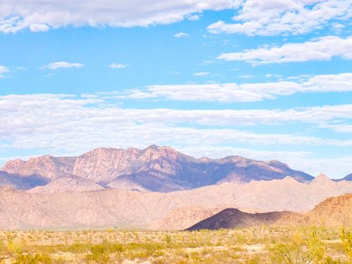 Corner Lot with Trees and Creek : Yucca : Mohave County : Arizona
