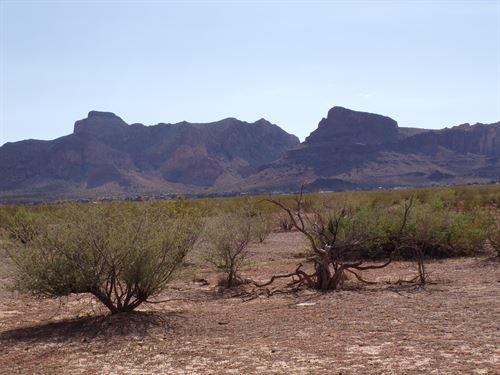 19 Acres in Mohave, Power & Water : Golden Valley : Mohave County : Arizona
