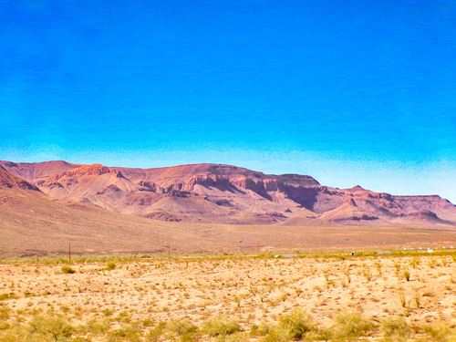 Open Front, Hidden Back, Huge Value : Yucca : Mohave County : Arizona