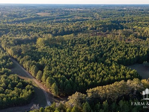 50.25 Ac Geneva Co, Beaverdam Cr : Chancellor : Geneva County : Alabama