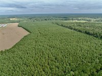 54.42 Acres of Recreational And Res : Gates : North Carolina