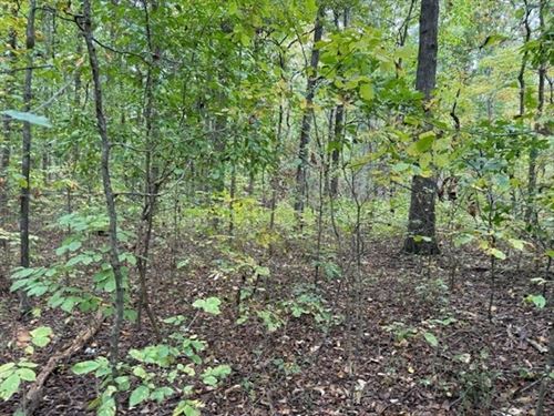 5.97 Acres Unrestricted Wooded Pr : Madisonville : Monroe County : Tennessee