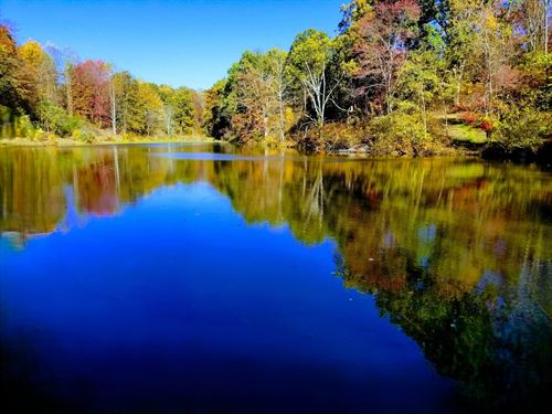 TR 2063, 19 Acres : Woodsfield : Monroe County : Ohio