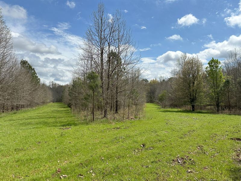 Pine Ridge : Lexington : Oglethorpe County : Georgia