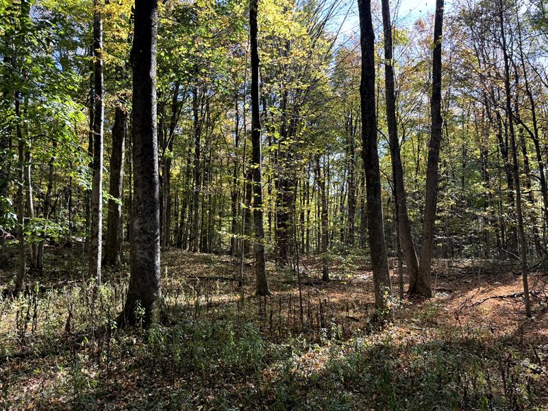 Base Camp for Outdoor Lovers : Orwell : Oswego County : New York