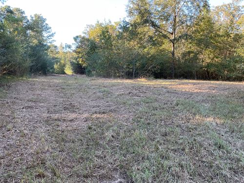 Chapel Hill Road Tract, 58 Acres : Rutledge : Crenshaw County : Alabama