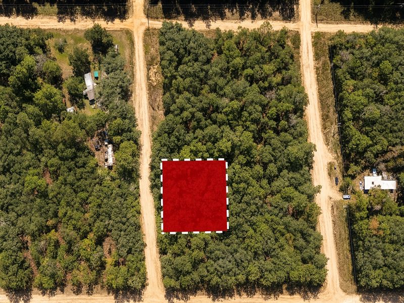 .22 Acres Near Paved Rd : Interlachen : Putnam County : Florida