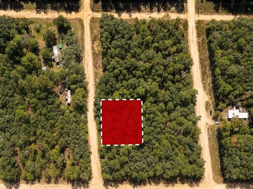.22 Acres Near Paved Rd : Interlachen : Putnam County : Florida