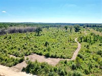 70 Acres Cal Thomas : Whigham : Grady County : Georgia