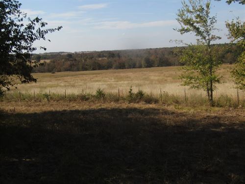 Choctaw County 15 Acres Hunting, Re : Hugo : Choctaw County : Oklahoma