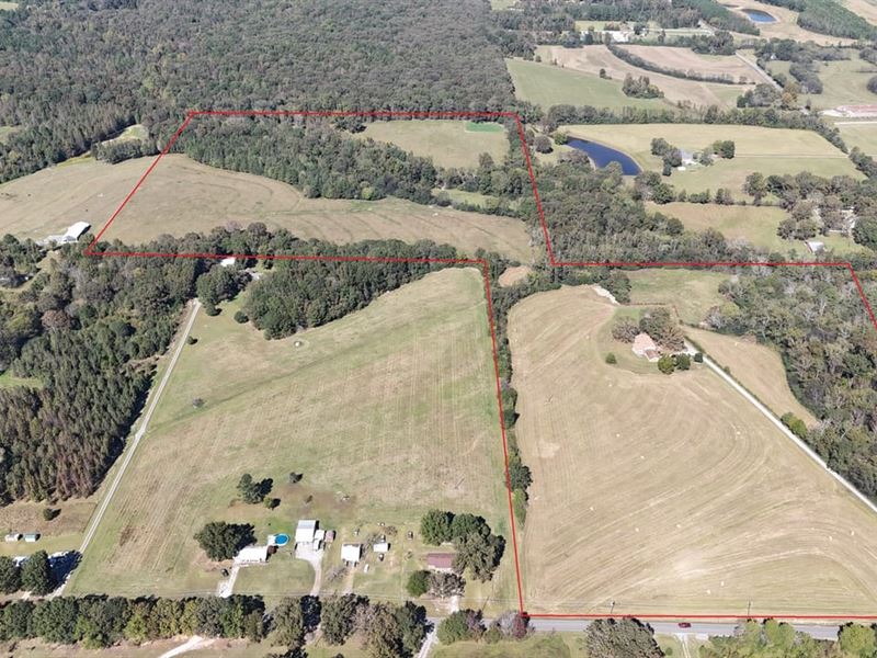 Morgan County Cattle Farm Tract 1 : Danville : Morgan County : Alabama