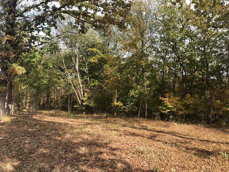 5 Wooded Acres for Sale in Jeffe : De Soto : Jefferson County : Missouri