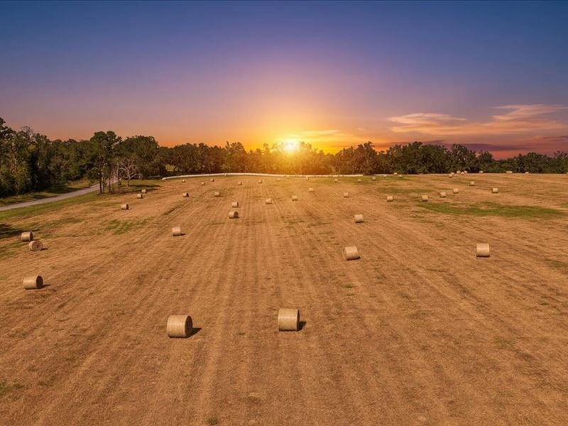 126.45 Acres of Rolling North Flori : Madison : Madison County : Florida