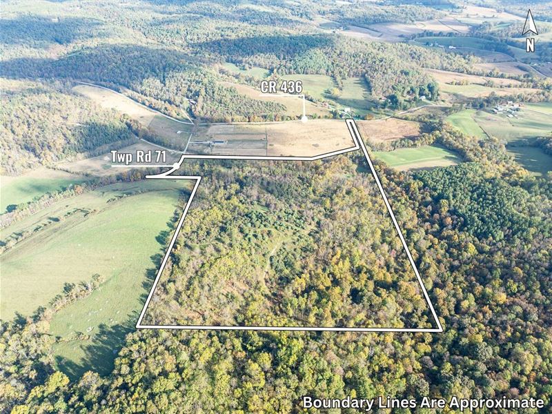 Twp Rd 71, 62 Acres : Dresden : Coshocton County : Ohio