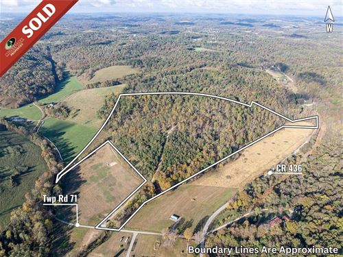 Twp Rd 71, 41 Acres : Dresden : Coshocton County : Ohio