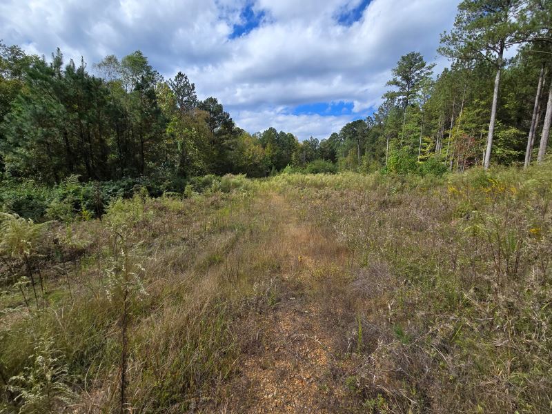 Sandy Creek : Centre : Cherokee County : Alabama