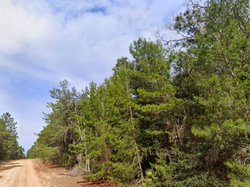 Private Retreat in Putnam : Interlachen : Putnam County : Florida