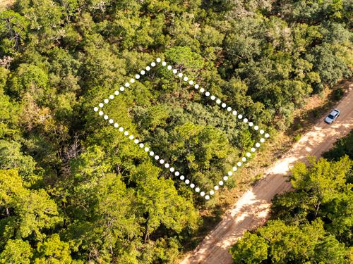 Peaceful Lot Mins From Interlachen : Interlachen : Putnam County : Florida