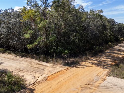 Build, Invest, or Escape in FL : Interlachen : Putnam County : Florida