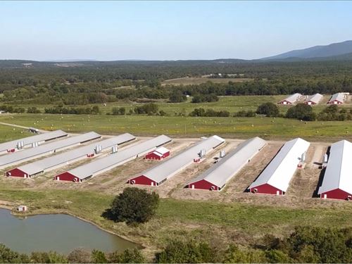 Arkansas Poultry Farms : Mansfield : Sebastian County : Arkansas