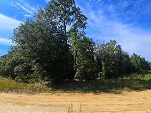 Residential Lot Near Power & Rivers : Interlachen : Putnam County : Florida