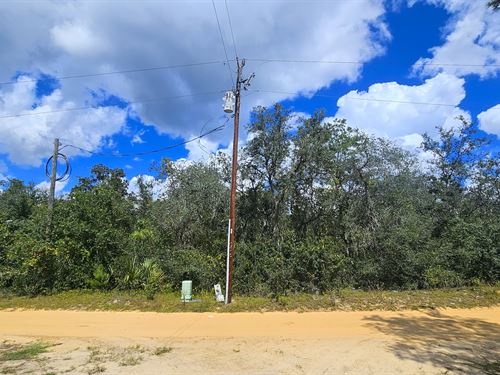 Backs to Forest, Mobile Homes OK : Umatilla : Marion County : Florida