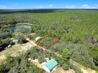 Backs to Forest, Mobile Homes OK : Umatilla : Marion County : Florida