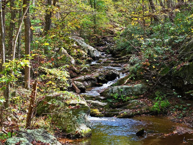 Turkeycock Timberline 278 Acre : Penhook : Franklin County : Virginia