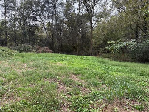 5 Acres Unrestricted Property : Madisonville : Monroe County : Tennessee