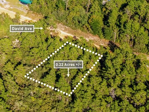 Quiet Lot Near Interlachen : Interlachen : Putnam County : Florida