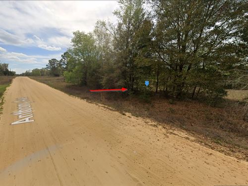 Land Access $197/Mo, Interlachen FL : Interlachen : Putnam County : Florida