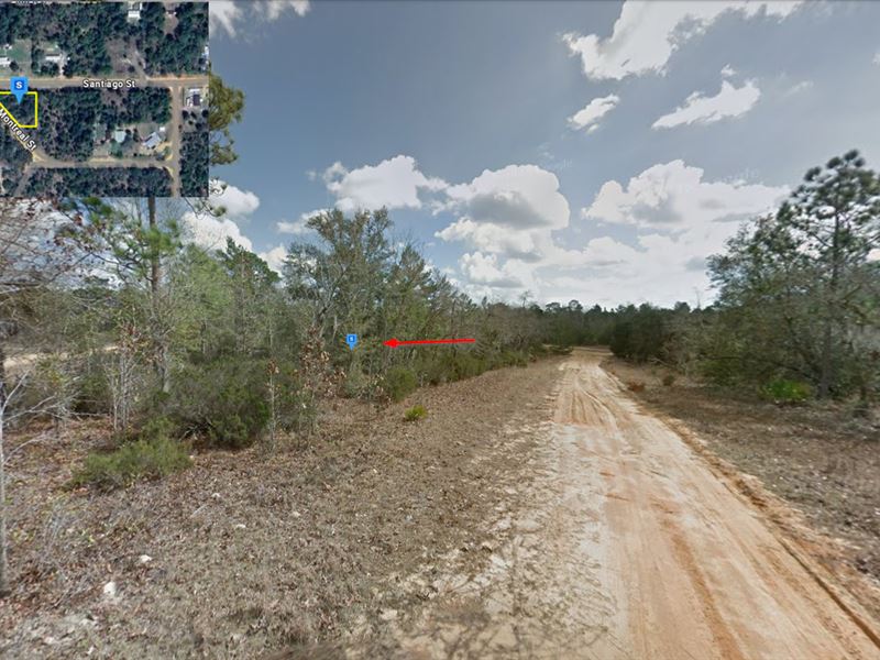 Affordable Land in FL, $292/Mo : Interlachen : Putnam County : Florida