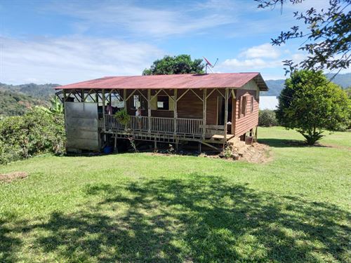 Golden Harvest Estate : La Suiza : Costa Rica