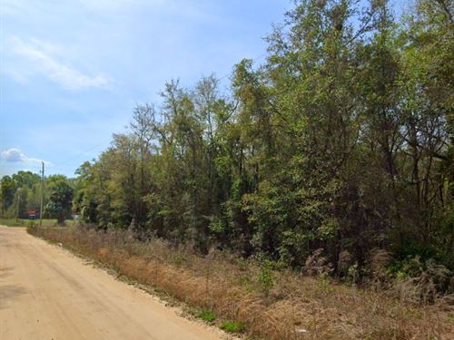 Quiet Lot Close to Interlachen : Interlachen : Putnam County : Florida