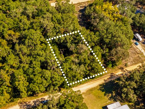 Wooded Hideaway in Putnam : Interlachen : Putnam County : Florida