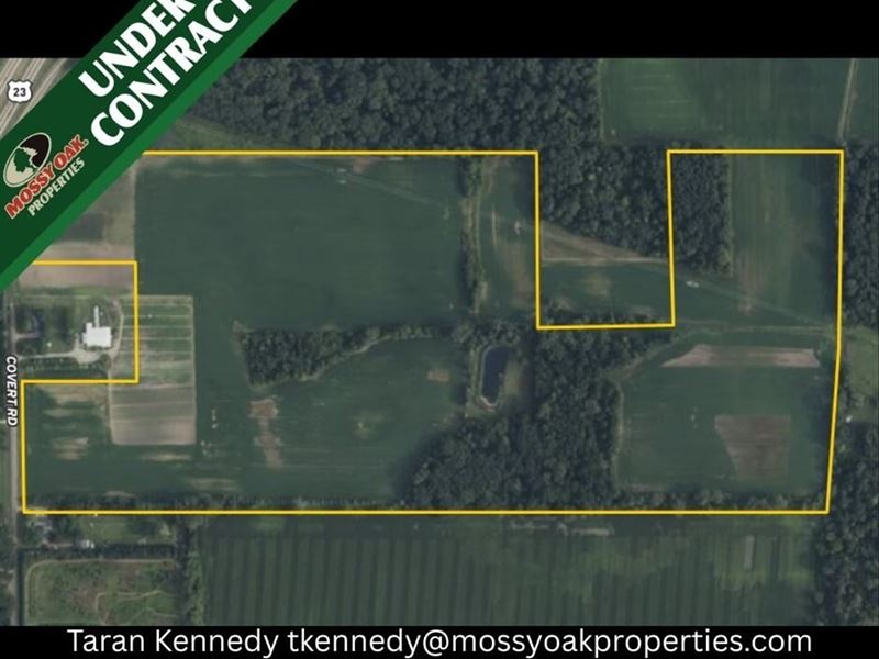 84 Acres, Farm Ground & Recreatio : Petersburg : Monroe County : Michigan