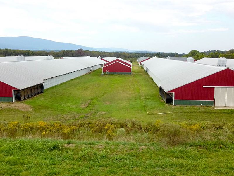 Arkansas Poultry Farm, 8 Mega Hses : Mansfield : Sebastian County : Arkansas