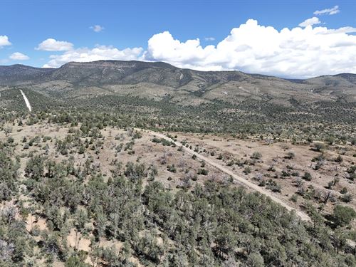 Adventure Lot with Power & Water : Timberon : Otero County : New Mexico