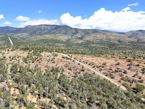 Adventure Lot with Power & Water : Timberon : Otero County : New Mexico
