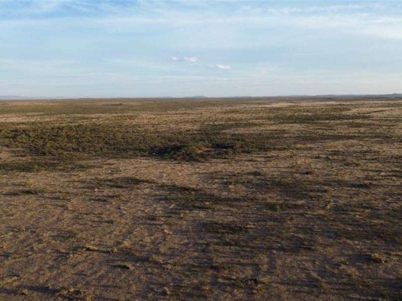 Hard-To-Find 10.001-Acre Sierra : Sierra Blanca : Hudspeth County : Texas