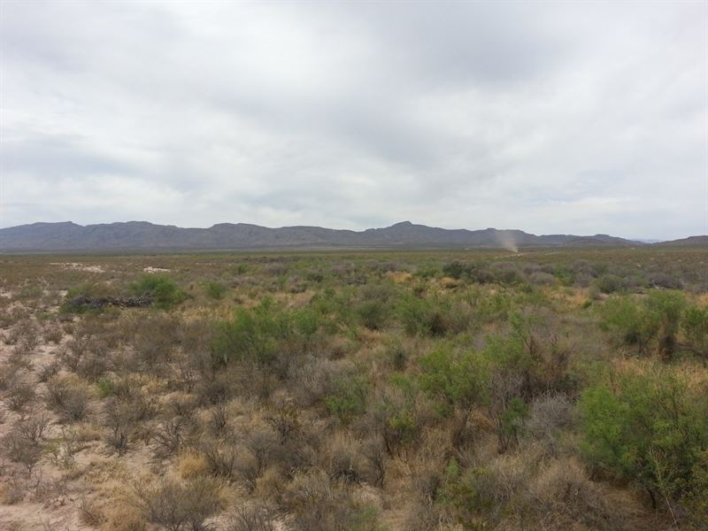 Terrific 10.001-Acre Sierra Blanca : Sierra Blanca : Hudspeth County : Texas